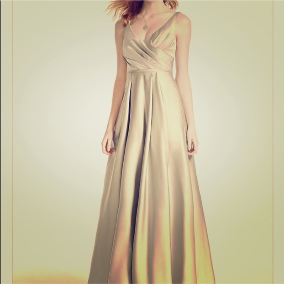 David's Bridal Dresses & Skirts - Formal Champaign dress